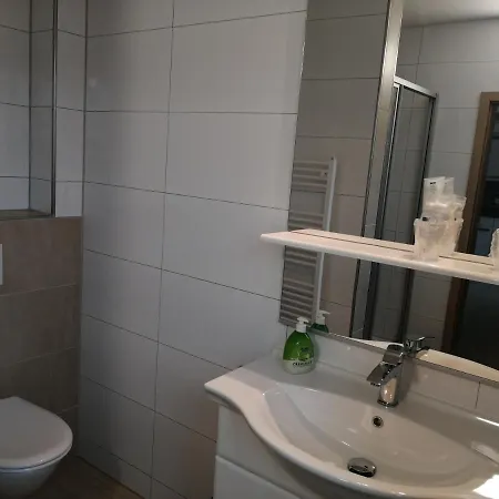 Hotel Hotel-restaurant Zum Bäumle 2*