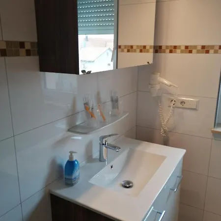 Hotel-restaurant Zum Baeumle 2*