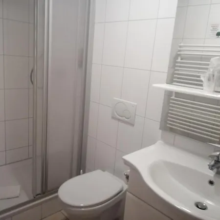 Hotel-restaurant Zum Baeumle ホテル 2*
