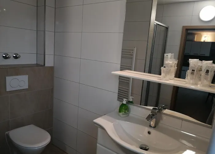 Hotel Hotel-restaurant Zum Bäumle 2*