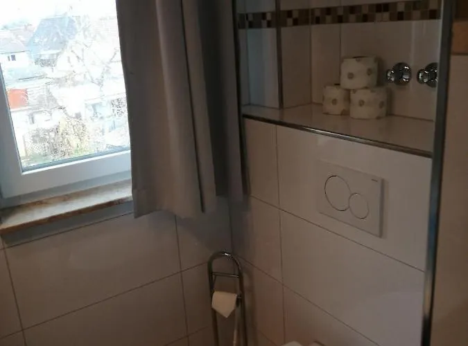 Hotel Hotel-restaurant Zum Bäumle 2*